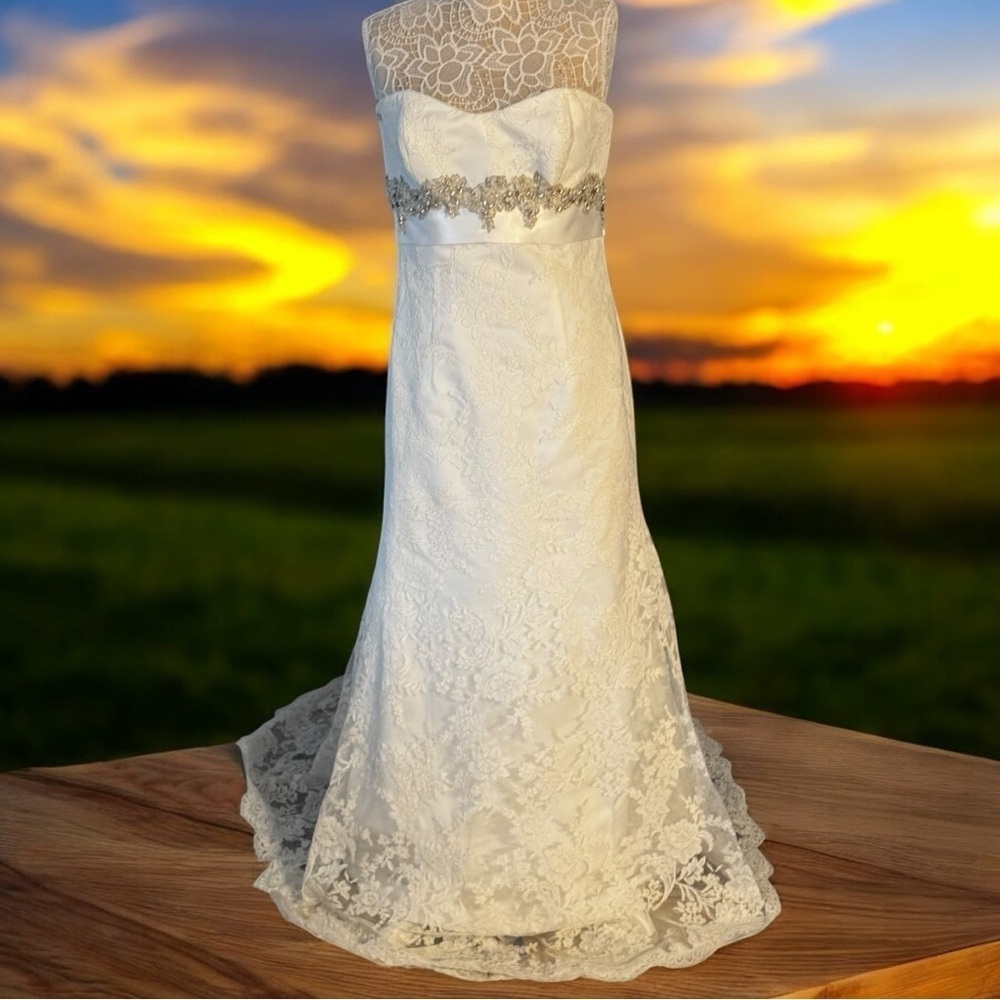 Elegant Lace Wedding Dress with Silver‎ Accents